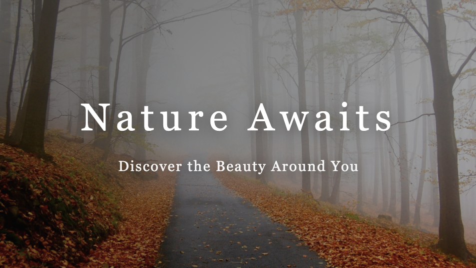 白黒画像が拡大縮小するローディングアニメーション